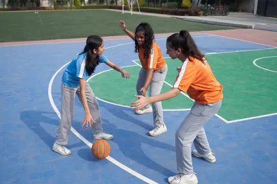 Basketball Court